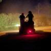 Activite nocturne