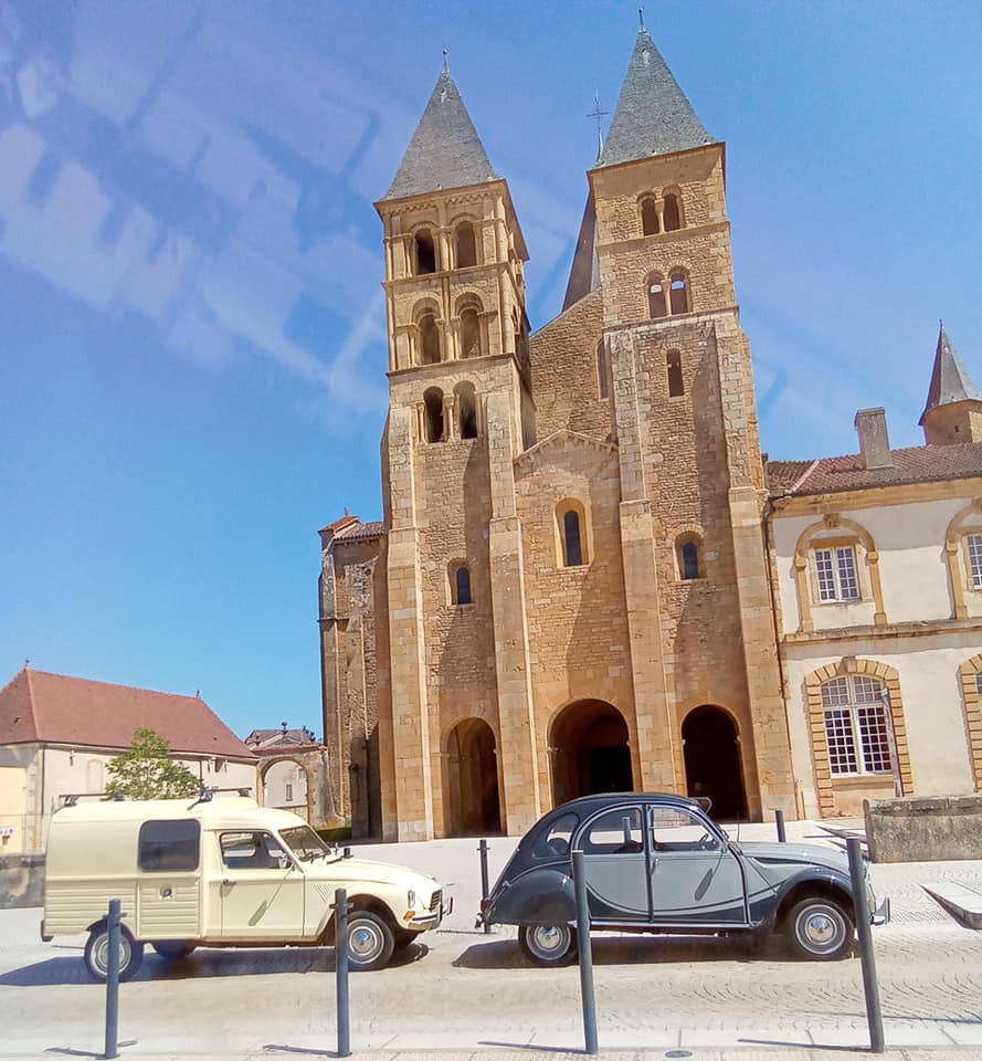 Deuch veau club charolais au pied de la basilique 1