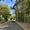 Dans les bois du morvan
