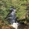 Le saut du goulou