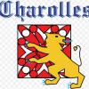 Logo ville de charolles